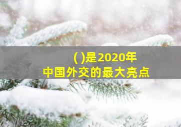 ( )是2020年中国外交的最大亮点